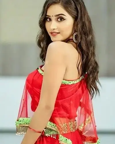 Escort In Sarangpur